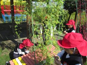 ちゅうりっぷ組1