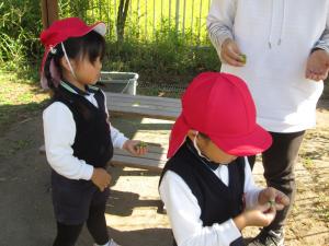 ちゅうりっぷ組2