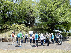 八幡台地めぐりの様子1