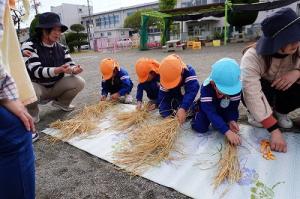 稲刈り7
