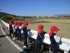 ちゅうりっぷ組