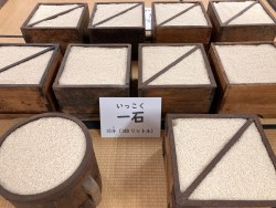 展示品、米一石分の枡