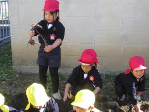 ちゅうりっぷ組