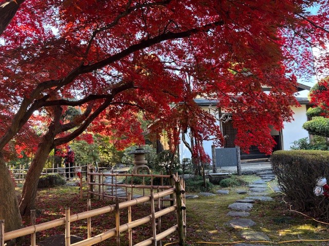 11月20日の様子2