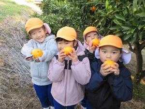 みかん狩り5