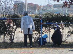 クローバー見つけ