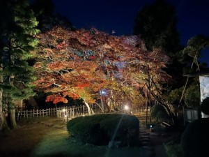 令和5年11月20日