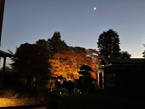 令和5年11月19日1