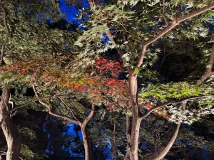 令和5年11月16日2