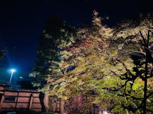 令和5年11月14日２