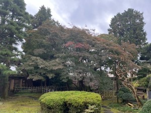 令和5年11月10日