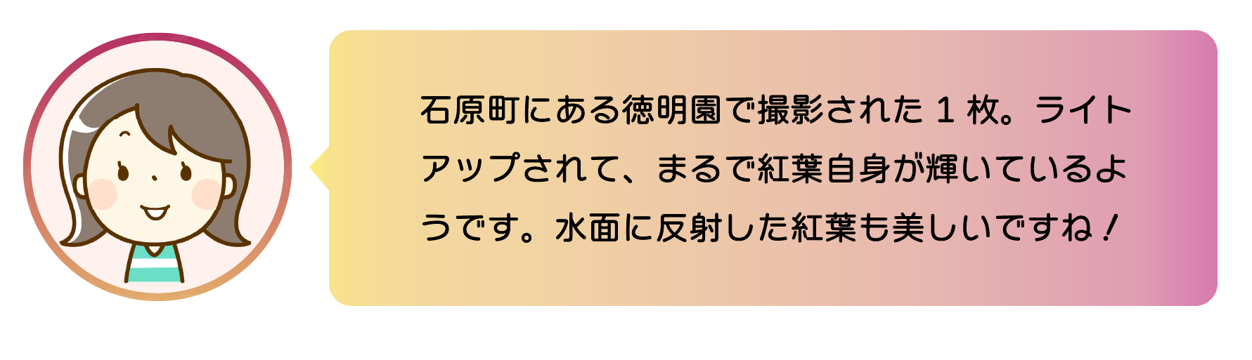 職員からのコメント。石原町にある徳明園で撮影された 1枚。ライトアップされて、まるで紅葉自身が輝いているようです。水面に反射した紅葉も美しいですね