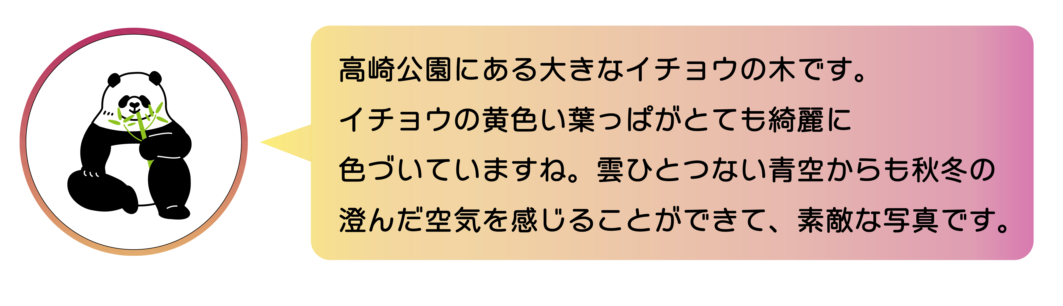 職員からのコメント。高崎公園にある大きなイチョウの木です。イチョウの黄色い葉っぱがとても綺麗に色づいていますね。雲ひとつない青空からも秋冬の澄んだ空気を感じることができて、素敵な写真です。