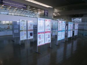 パネル展写真１枚目