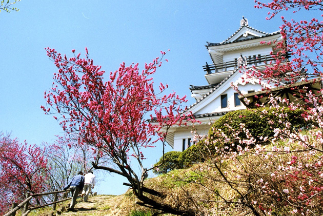 牛伏山自然公園の画像