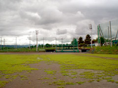 金井原野球場の様子