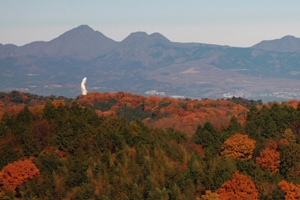 観音山の紅葉