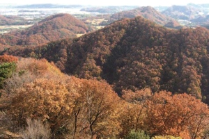 牛伏山の紅葉