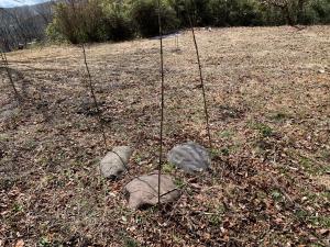 小栗邸跡の礎石