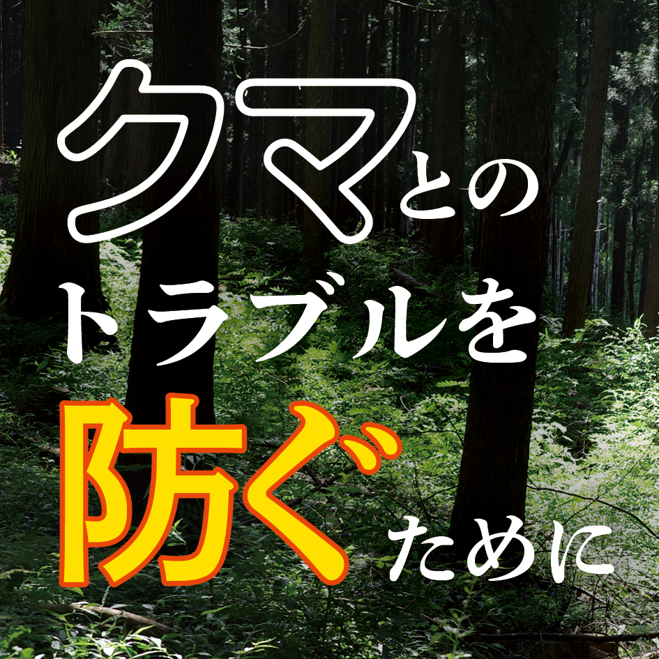 クマとのトラブルを防ぐためにの画像