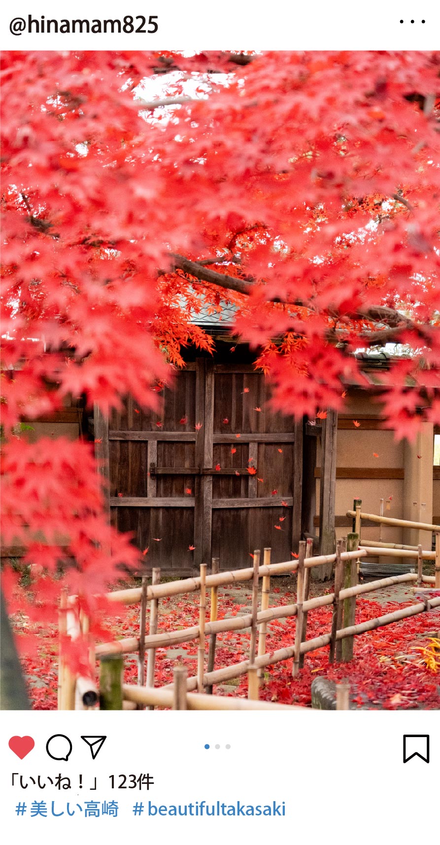 職員が選んだインスタグラムの写真。@hinamam825さん