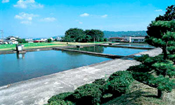 剣崎浄水場全景