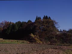 権田城跡の画像