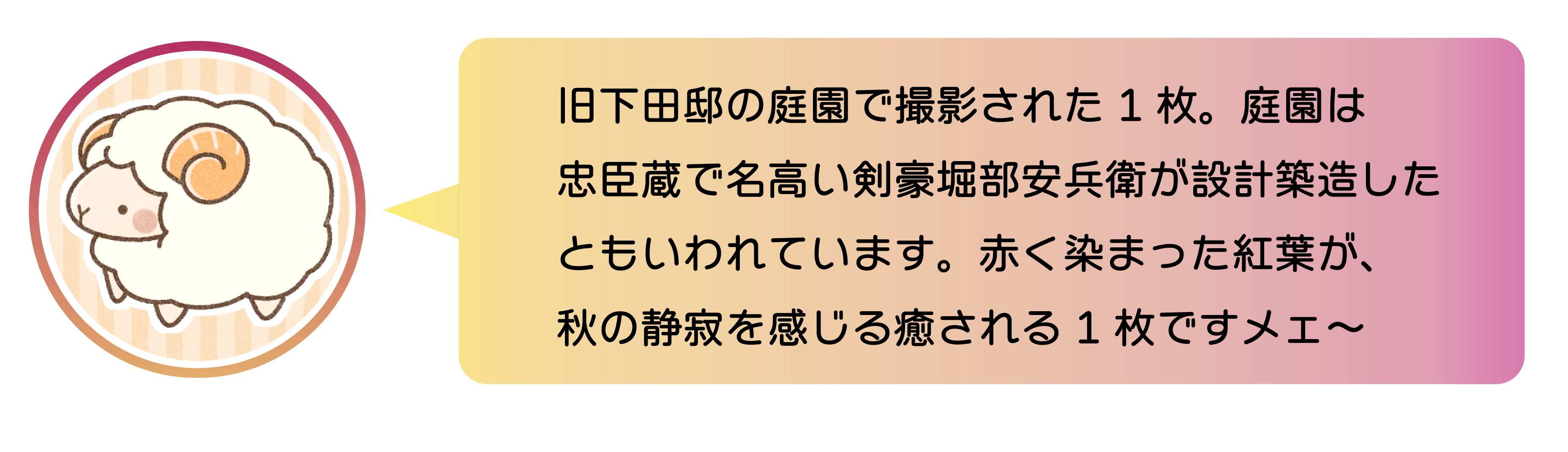 職員が選んだインスタグラムの写真。@hinamam825さん 職員からのコメント。旧下田邸の庭園で撮影された1枚。庭園は忠臣蔵で名高い剣豪堀部安兵衛が設計築造したともいわれています。赤く染まった紅葉が、秋の静寂を感じる癒される1枚ですメェ〜
