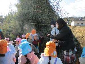 どんど焼き見学②