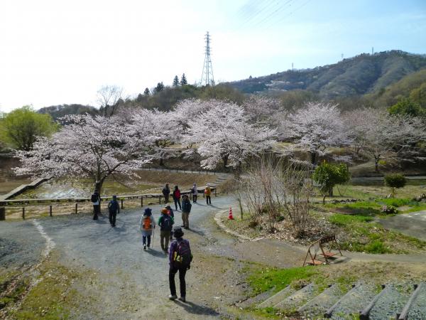 ハイキング出発の様子