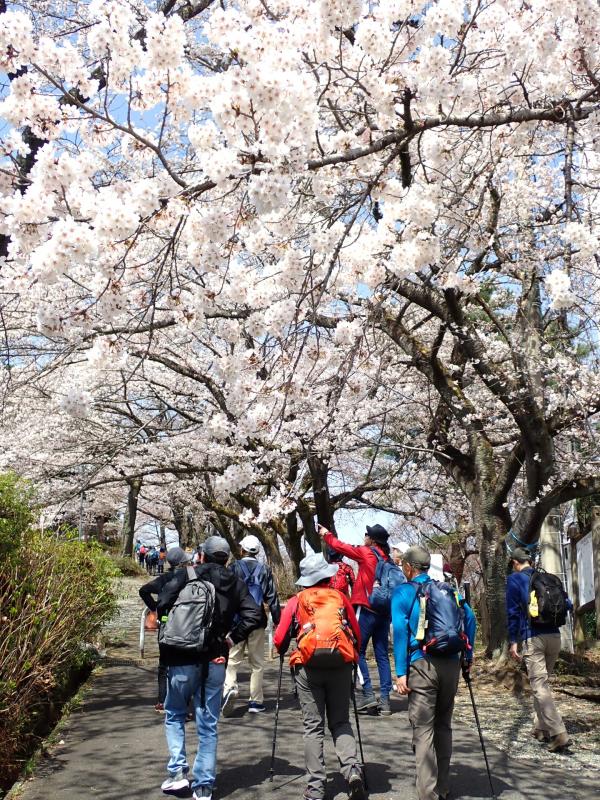 牛伏山頂上付近の様子