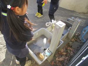 ちゅうりっぷ組