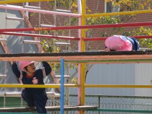 ジャングルジムで昼寝