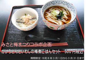 かけうどんいわしの梅煮ごはんセット