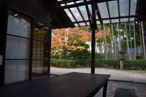 パティオから眺める秋の庭