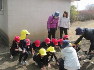 ちゅうりっぷ組