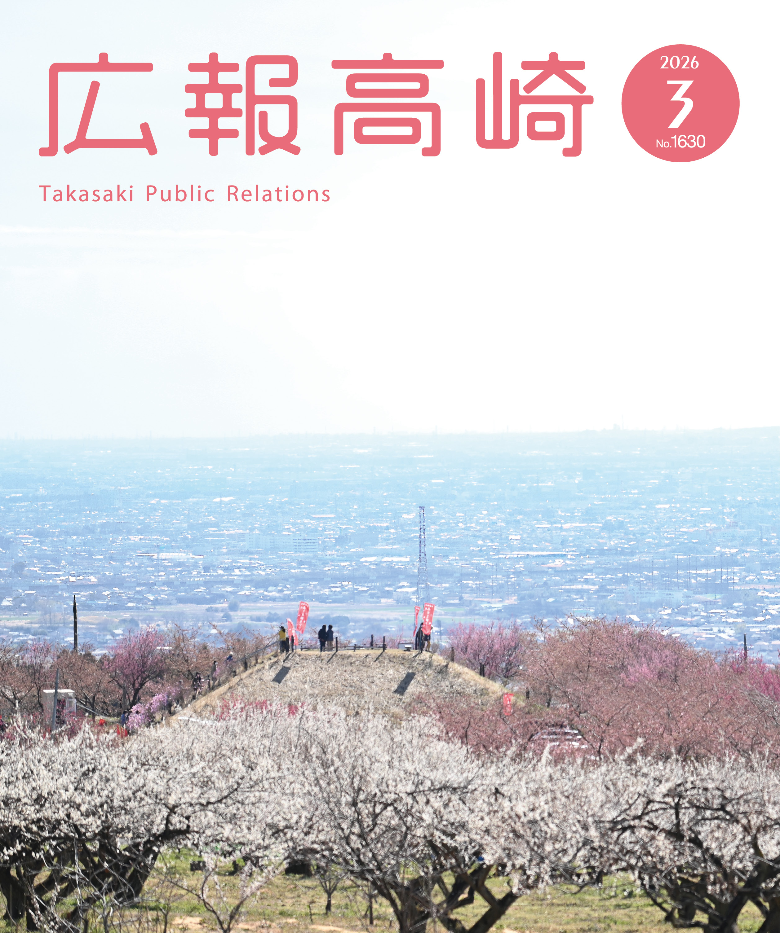 高崎風景シリーズ(20)榛名梅林