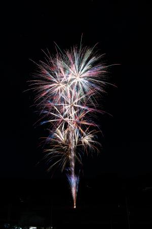 砂の大地に咲く万華鏡