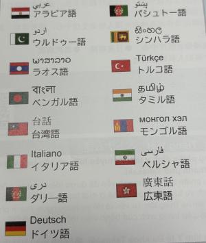 可使用的语言⑤