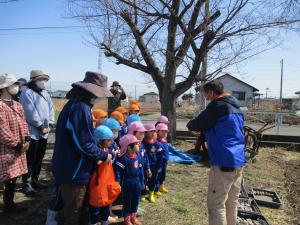 種イモの植え方