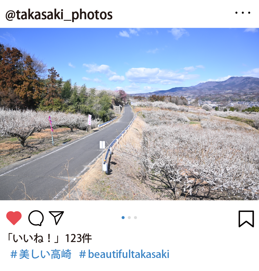 広報課からの1枚の写真。3月8日撮影　榛名に咲き誇る満点の梅の花