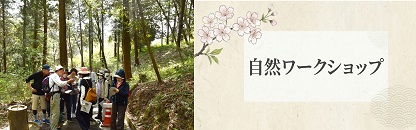 自然ワークショップ