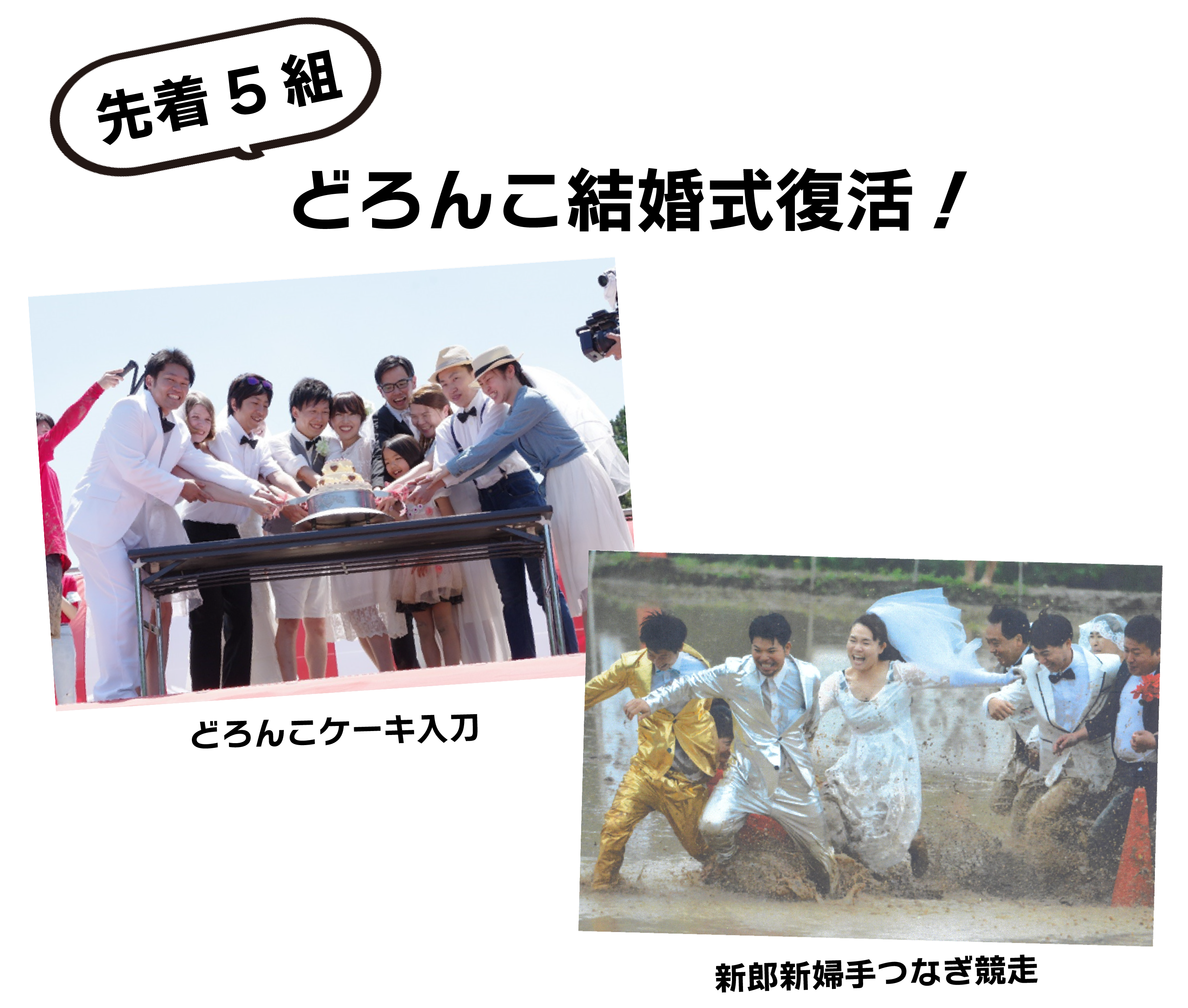 どろんこ結婚式復活