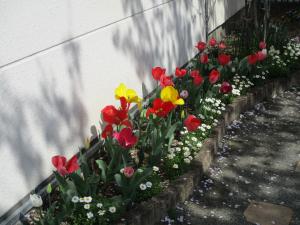 花②