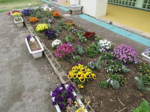 花壇2