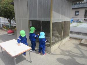 遊び5