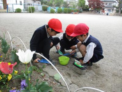 園庭の遊び