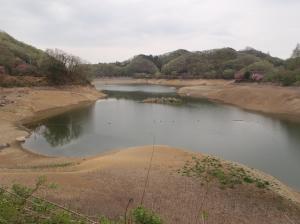 大塩貯水池の様子（4月15日現在）