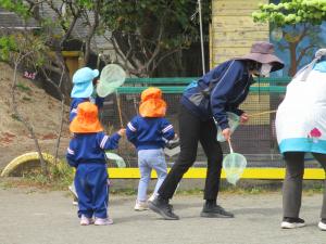 虫取り