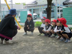 ばら組会議